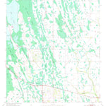 United States Geological Survey Holopaw, FL (1953, 24000-Scale) digital map