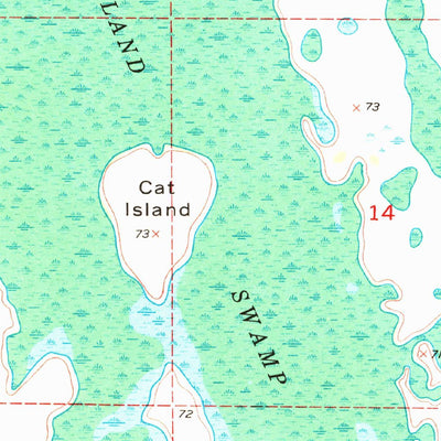 United States Geological Survey Holopaw, FL (1953, 24000-Scale) digital map