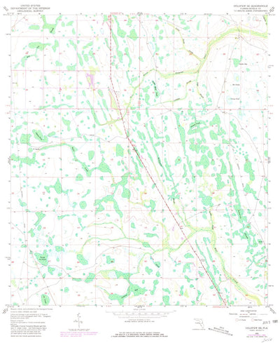 United States Geological Survey Holopaw SE, FL (1953, 24000-Scale) digital map