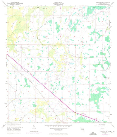United States Geological Survey Holopaw SW, FL (1953, 24000-Scale) digital map