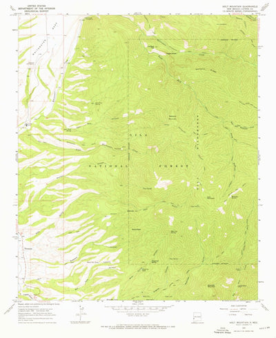 United States Geological Survey Holt Mountain, NM (1965, 24000-Scale) digital map