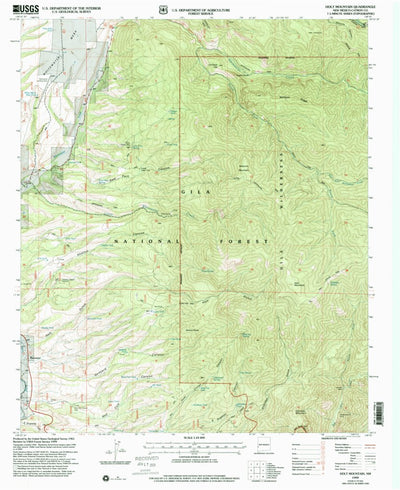 United States Geological Survey Holt Mountain, NM (1999, 24000-Scale) digital map