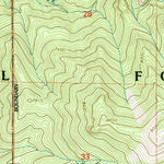 United States Geological Survey Holt Mountain, NM (1999, 24000-Scale) digital map