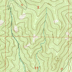 United States Geological Survey Holt Mountain, NM (1999, 24000-Scale) digital map