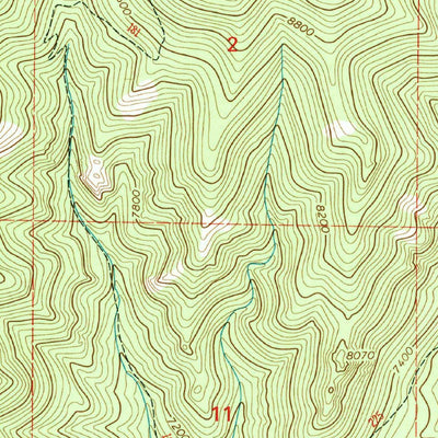 United States Geological Survey Holt Mountain, NM (1999, 24000-Scale) digital map