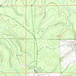 United States Geological Survey Holum, LA (1984, 24000-Scale) digital map