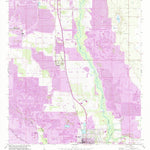 United States Geological Survey Homeland, FL (1952, 24000-Scale) digital map