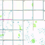 United States Geological Survey Homestead, FL (1956, 24000-Scale) digital map