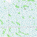 United States Geological Survey Homestead, FL (1956, 24000-Scale) digital map