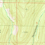 United States Geological Survey Honeymoon Lake, ID (1990, 24000-Scale) digital map