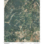 United States Geological Survey Hornbeak, TN (2010, 24000-Scale) digital map