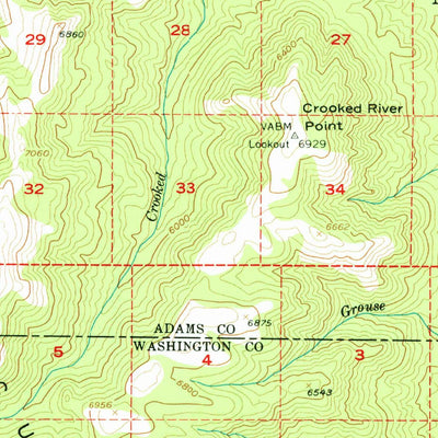 United States Geological Survey Hornet, ID (1957, 62500-Scale) digital map