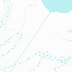 United States Geological Survey Hoskins Mound, TX (1963, 24000-Scale) digital map