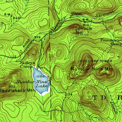 United States Geological Survey Howe Brook, ME (1954, 62500-Scale) digital map