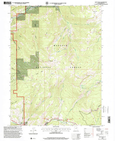 United States Geological Survey Hoyt Peak, UT (1998, 24000-Scale) digital map