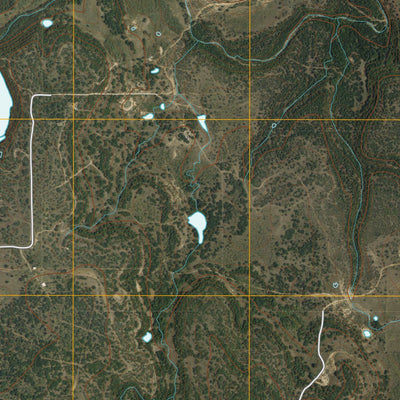 United States Geological Survey Hunting Shirt Creek, TX (2010, 24000-Scale) digital map