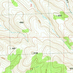United States Geological Survey Ibex Butte, OR (1981, 24000-Scale) digital map