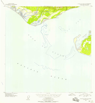 United States Geological Survey Icy Bay D-2 And D-3, AK (1948, 63360-Scale) digital map
