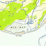 United States Geological Survey Icy Bay D-2 And D-3, AK (1948, 63360-Scale) digital map
