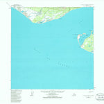 United States Geological Survey Icy Bay D-2 And D-3, AK (1959, 63360-Scale) digital map