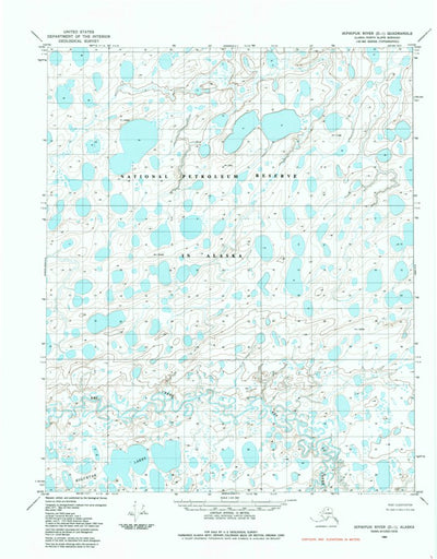 United States Geological Survey Ikpikpuk River D-1, AK (1984, 63360-Scale) digital map