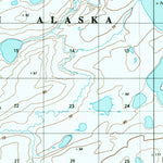 United States Geological Survey Ikpikpuk River D-1, AK (1984, 63360-Scale) digital map