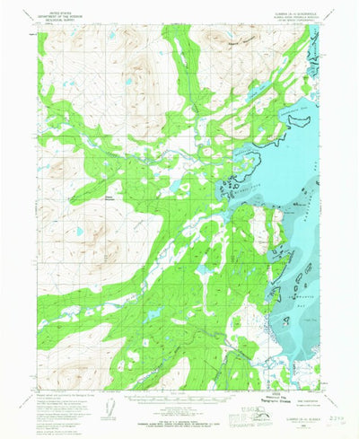 United States Geological Survey Iliamna A-4, AK (1952, 63360-Scale) digital map