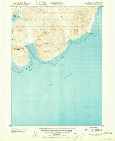 United States Geological Survey Iliamna C-1, AK (1949, 63360-Scale) digital map
