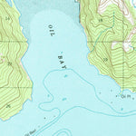 United States Geological Survey Iliamna C-1, AK (1958, 63360-Scale) digital map