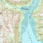 United States Geological Survey Iliamna C-2, AK (1958, 63360-Scale) digital map