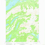 United States Geological Survey Iliamna C-3, AK (1954, 63360-Scale) digital map