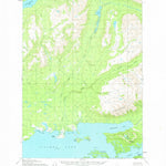 United States Geological Survey Iliamna D-4, AK (1954, 63360-Scale) digital map