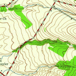 United States Geological Survey Ilion, NY (1943, 24000-Scale) digital map
