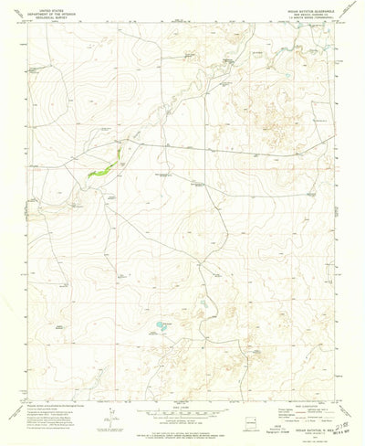 United States Geological Survey Indian Bathtub, NM (1973, 24000-Scale) digital map