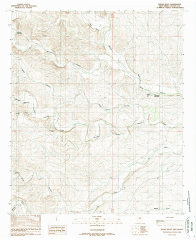 United States Geological Survey Indian Bluff, NM (1989, 24000-Scale) digital map