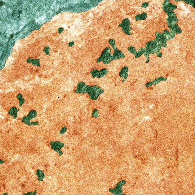 United States Geological Survey Indian Camp Creek, FL (1972, 24000-Scale) digital map