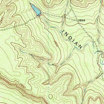 United States Geological Survey Indian Canyon, TX (1969, 24000-Scale) digital map