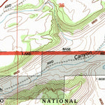 United States Geological Survey Indian Meadows, CA (1994, 24000-Scale) digital map