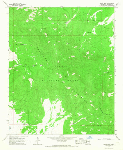 United States Geological Survey Indian Mesa, NM (1964, 24000-Scale) digital map