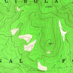 United States Geological Survey Indian Mesa, NM (1964, 24000-Scale) digital map