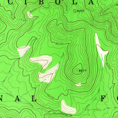 United States Geological Survey Indian Mesa, NM (1964, 24000-Scale) digital map