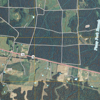 United States Geological Survey Indian Mound, TN (2010, 24000-Scale) digital map