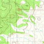 United States Geological Survey Indian Peaks East, NM (1981, 24000-Scale) digital map