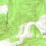 United States Geological Survey Indian Peaks East, NM (1981, 24000-Scale) digital map