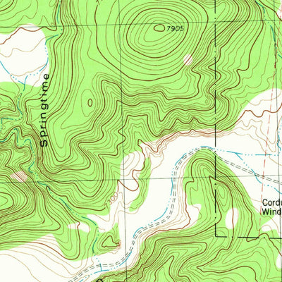 United States Geological Survey Indian Peaks East, NM (1981, 24000-Scale) digital map