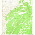 United States Geological Survey Indian Peaks West, NM (1981, 24000-Scale) digital map
