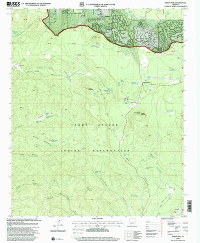 United States Geological Survey Indian Pine, AZ (1998, 24000-Scale) digital map