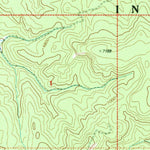 United States Geological Survey Indian Pine, AZ (1998, 24000-Scale) digital map