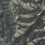 United States Geological Survey Indian Springs, ID (2010, 24000-Scale) digital map