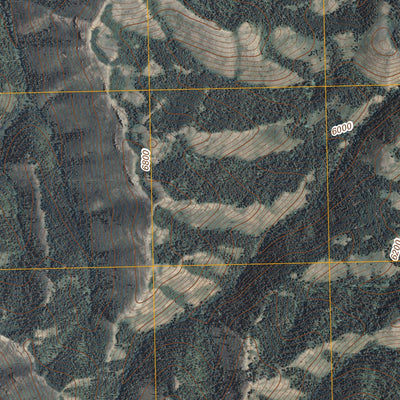 United States Geological Survey Indian Springs, ID (2010, 24000-Scale) digital map